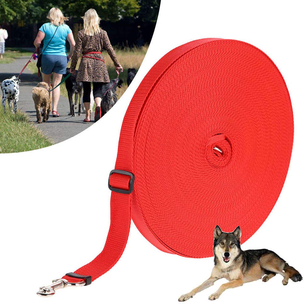 dog rope leash