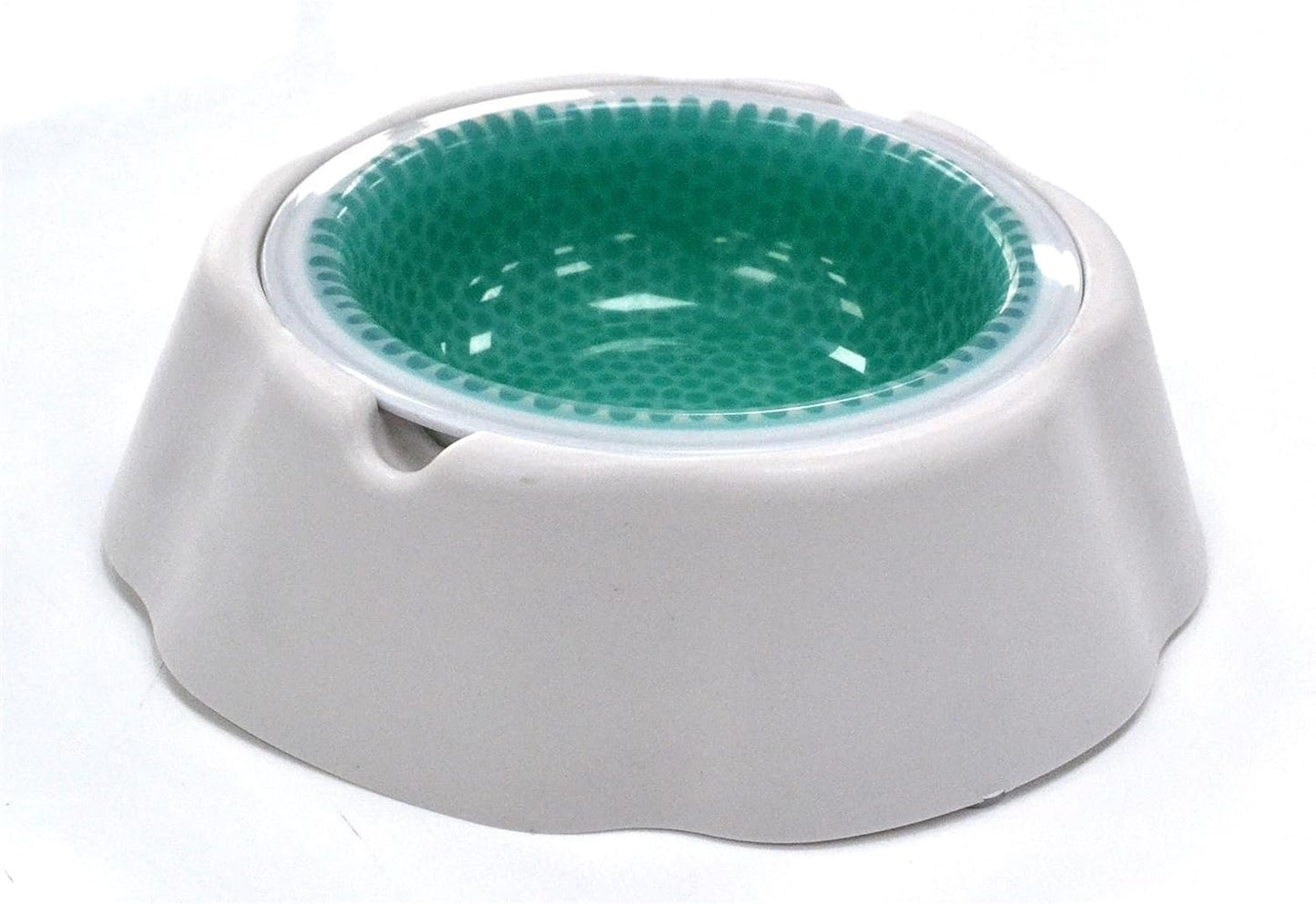 dog food bowl