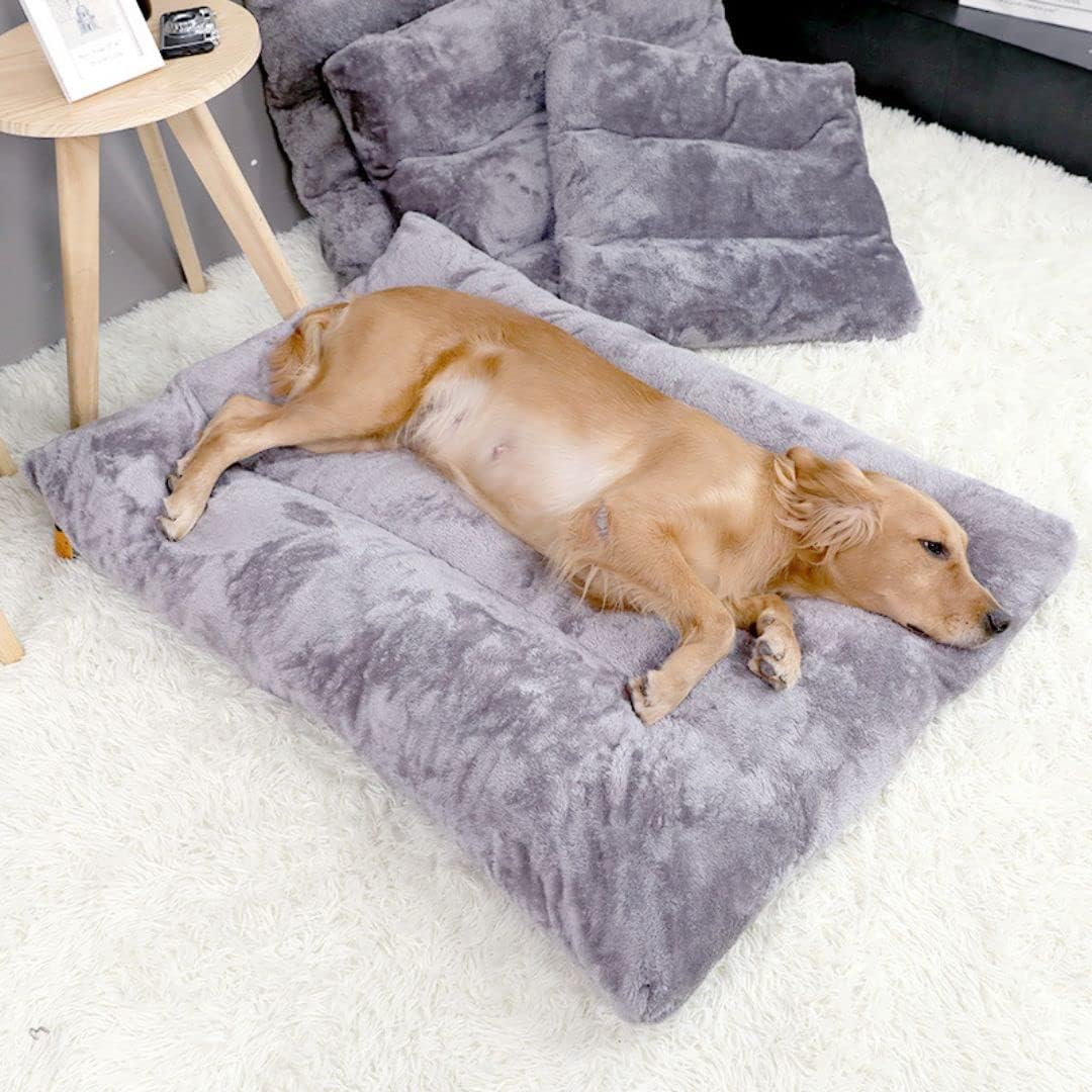 Soft XL Plush Dog Bed