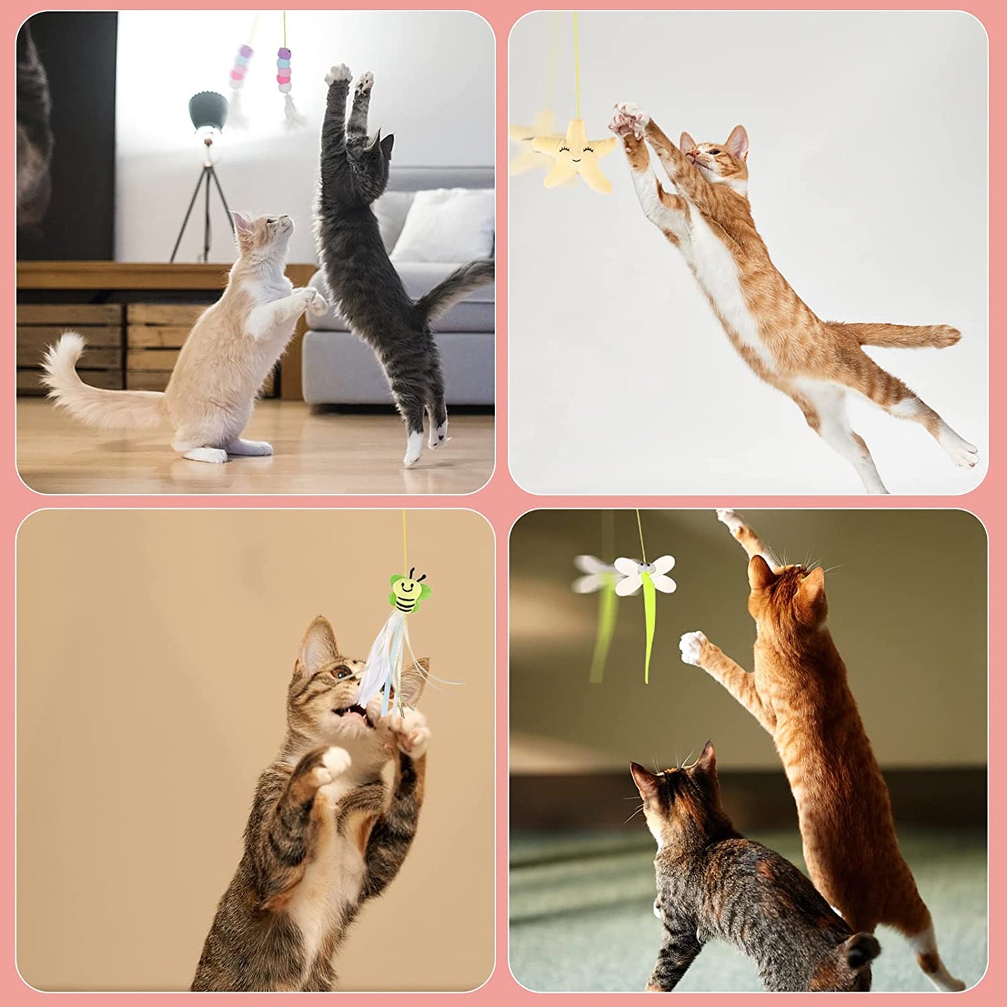 PETSARY Cat Fiesta Door Toy: Swing, Bounce, Pounce!