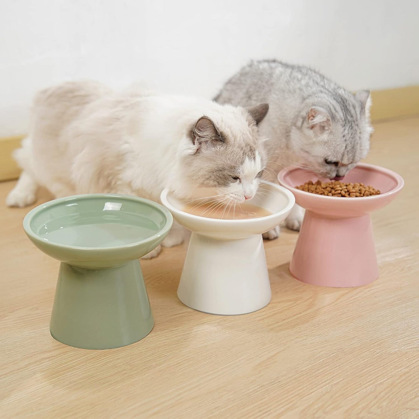 cat bowls