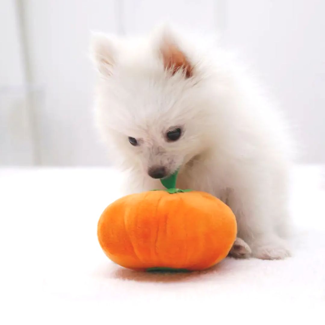 Plush Pumpkin Toy