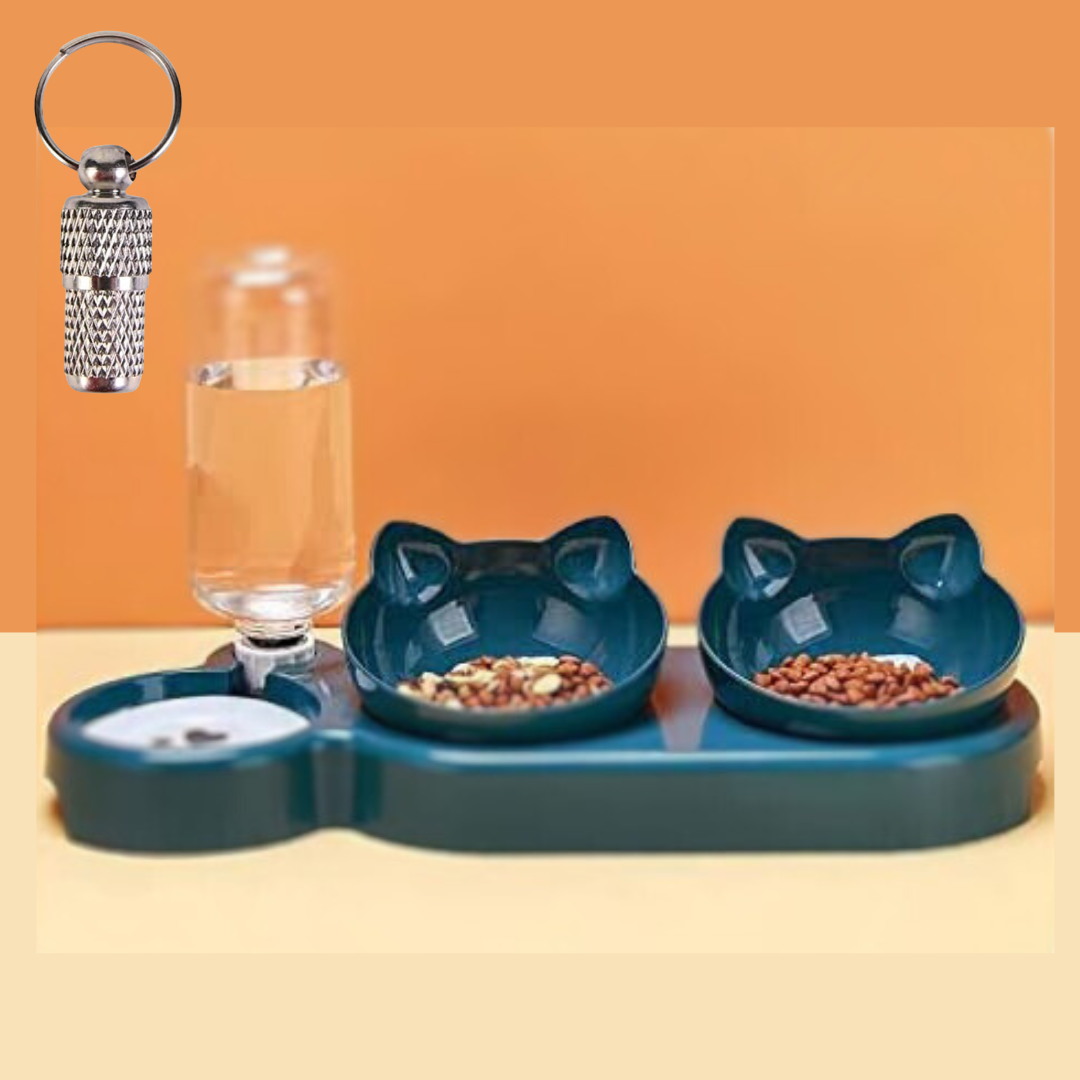 multi cat bowl
