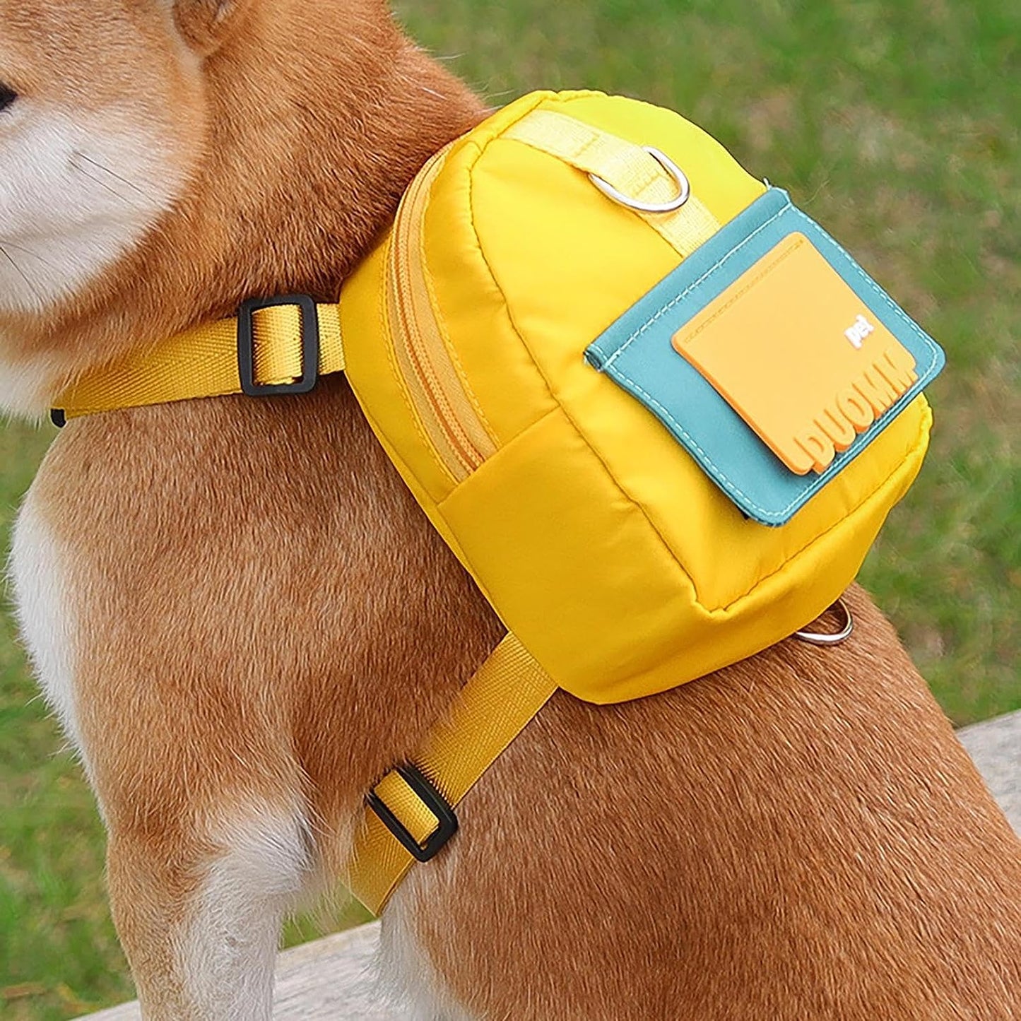 leash backpack