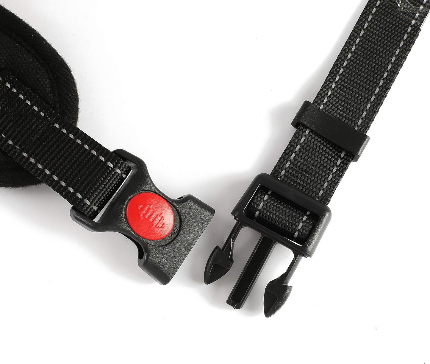 Best Pet Collars
