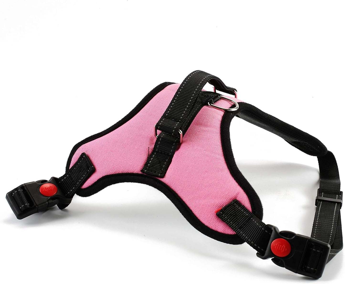 Dog Collar