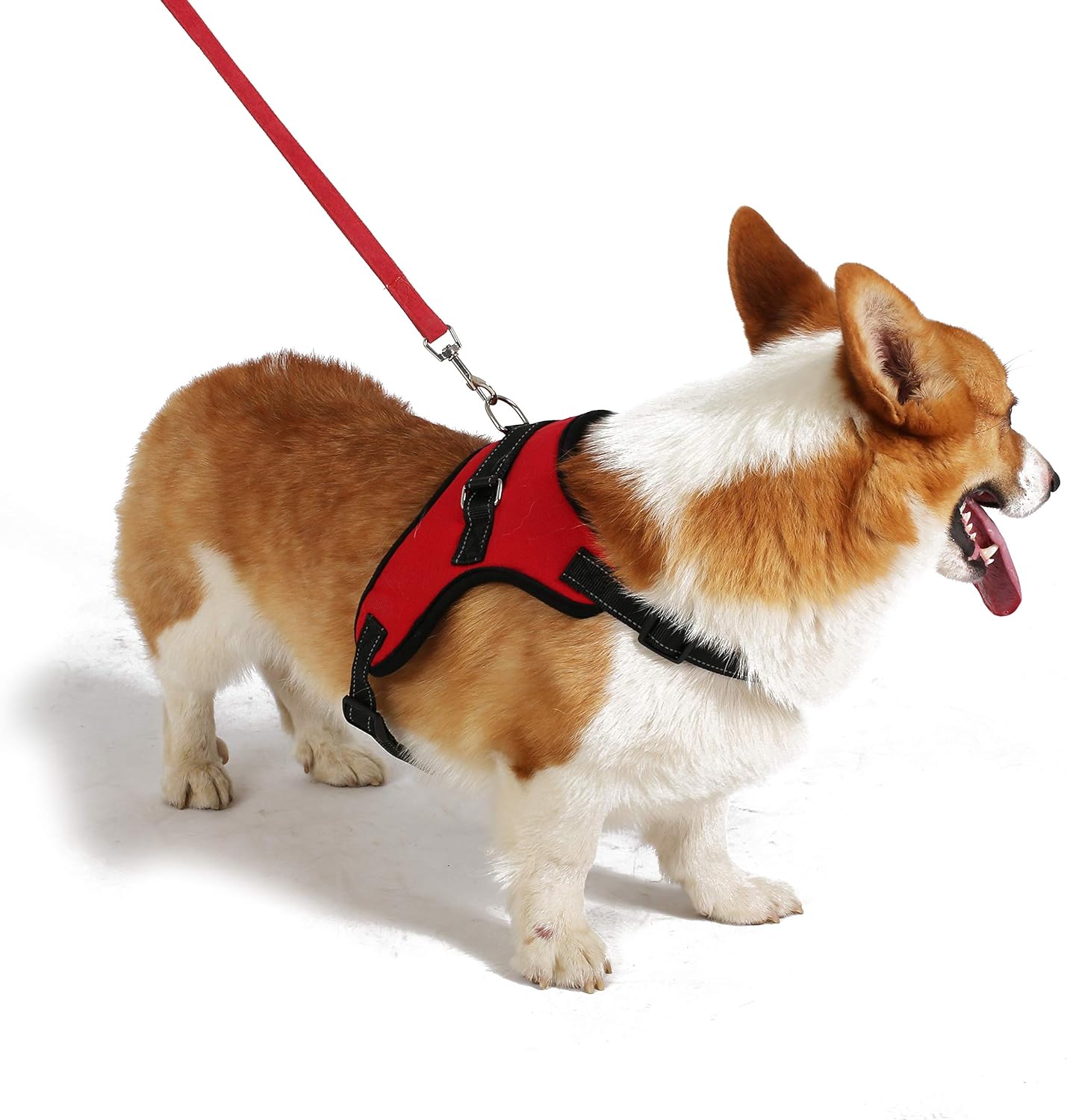Reflective collar