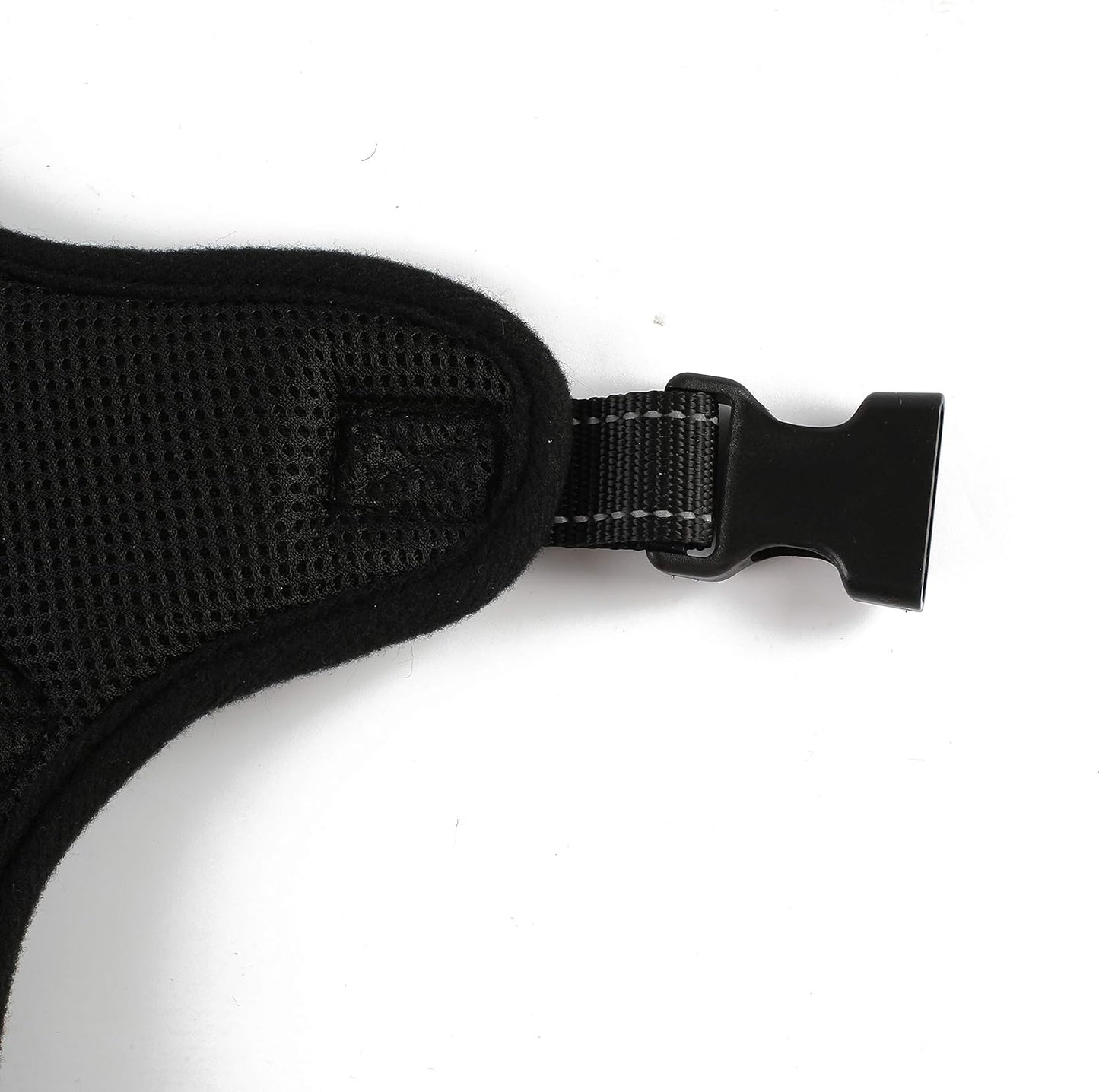 dog collar small