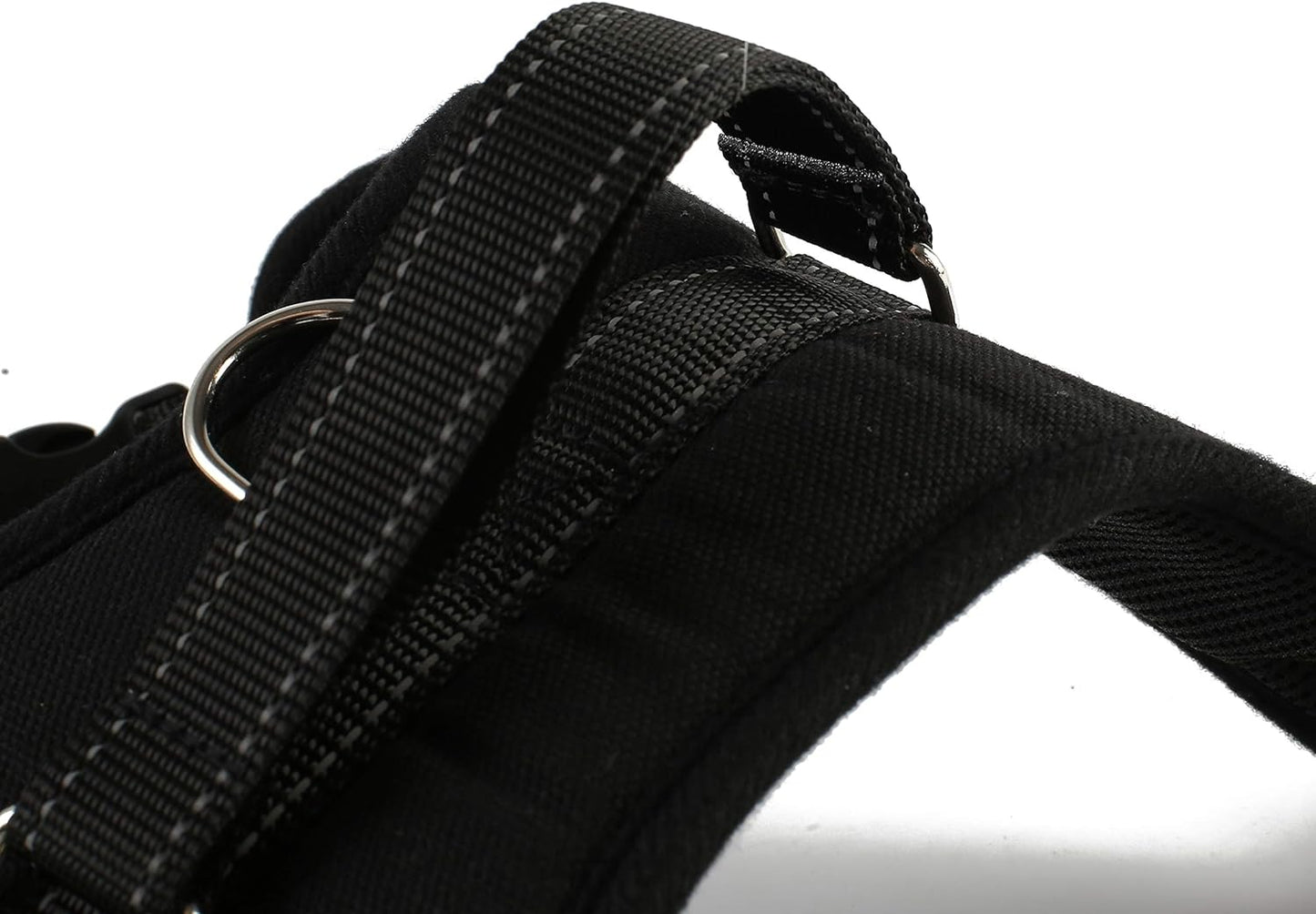 dog collar small