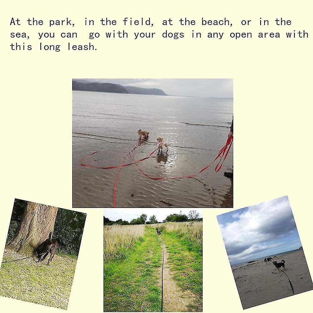 long leash