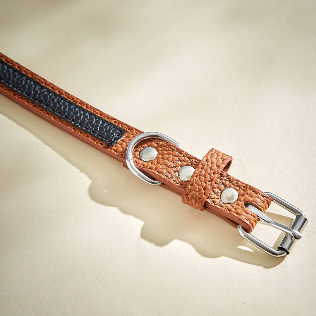 Stylish Leather Collars (Large)