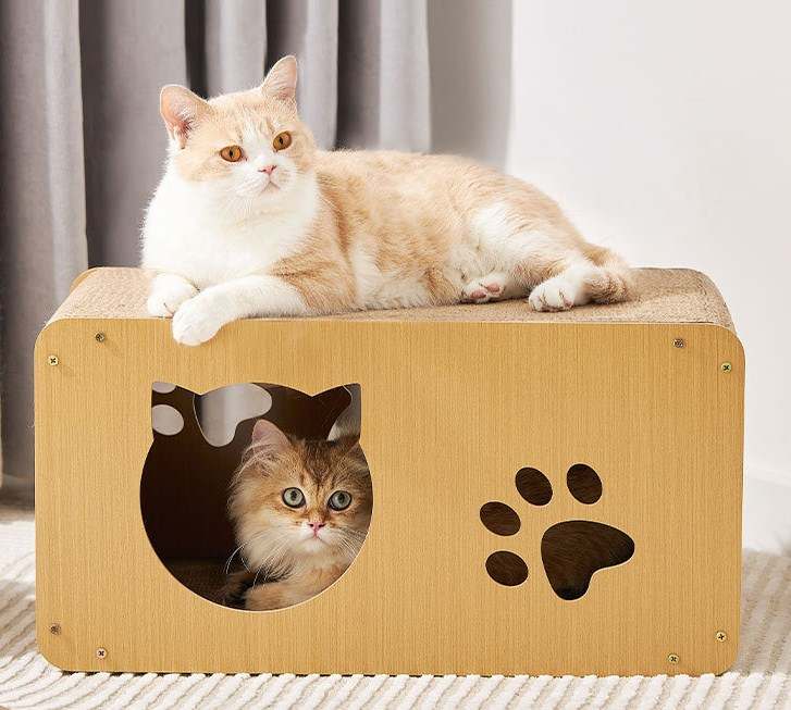 cat scratcher