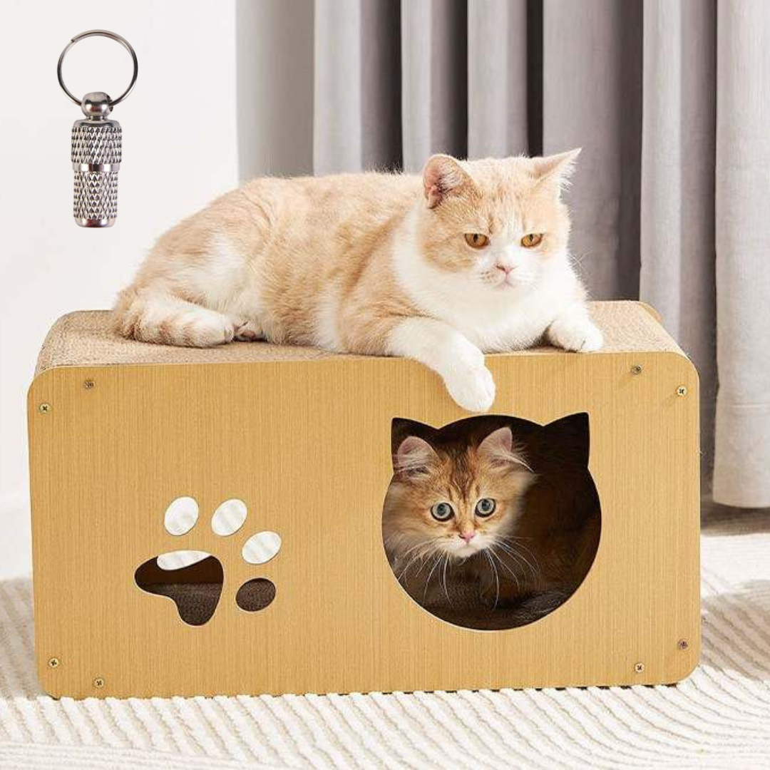 cat scratching board