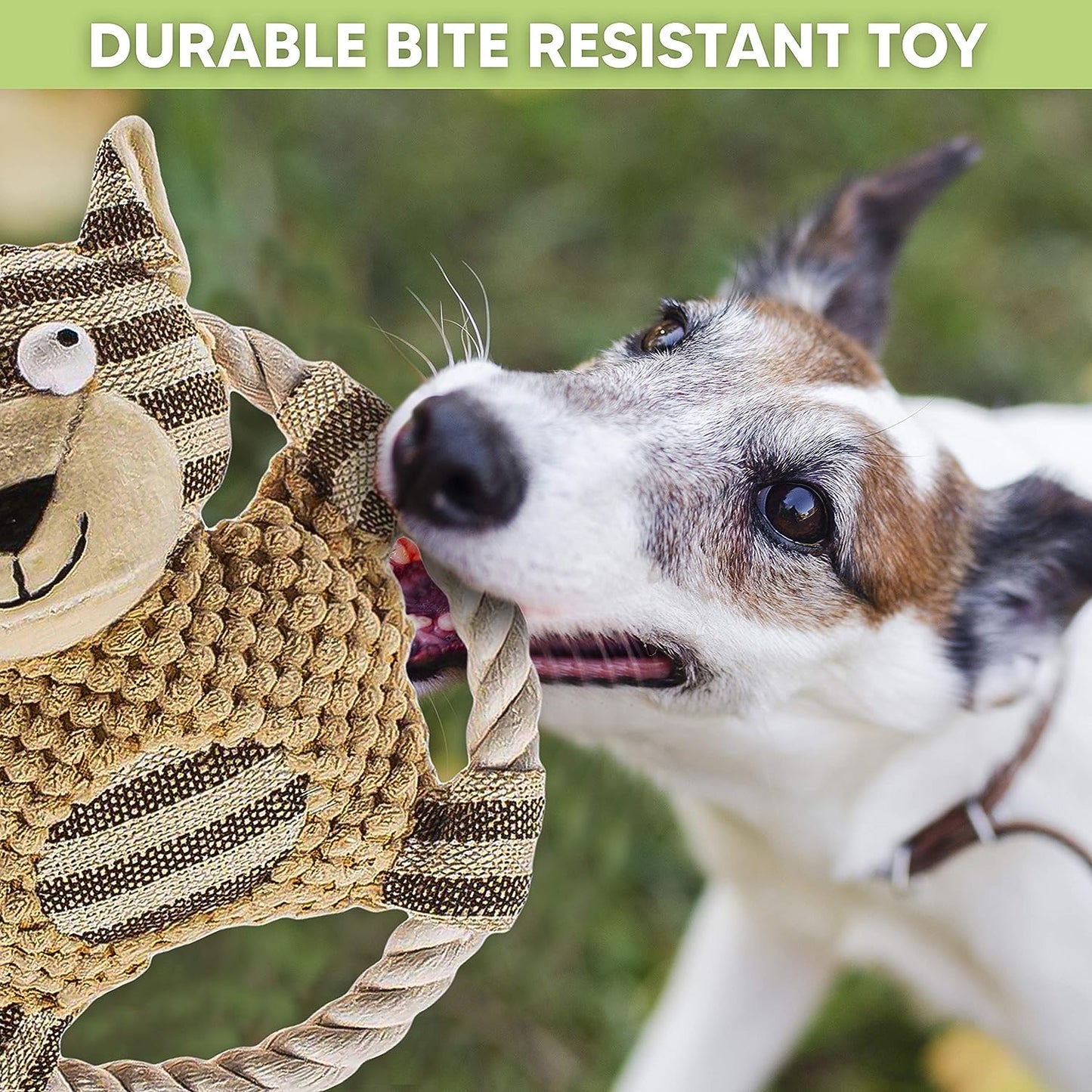 dog chew toys