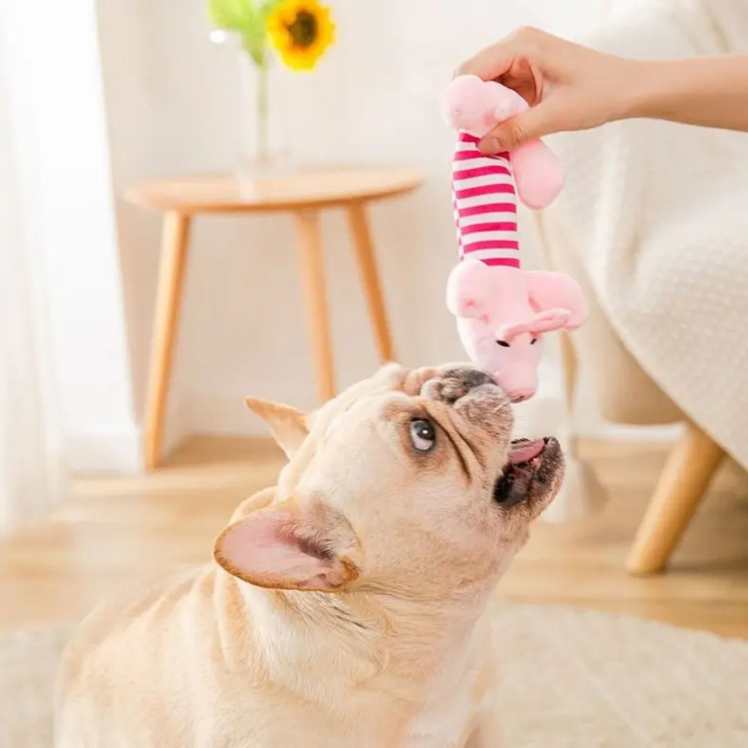 Cotton Dog Toy