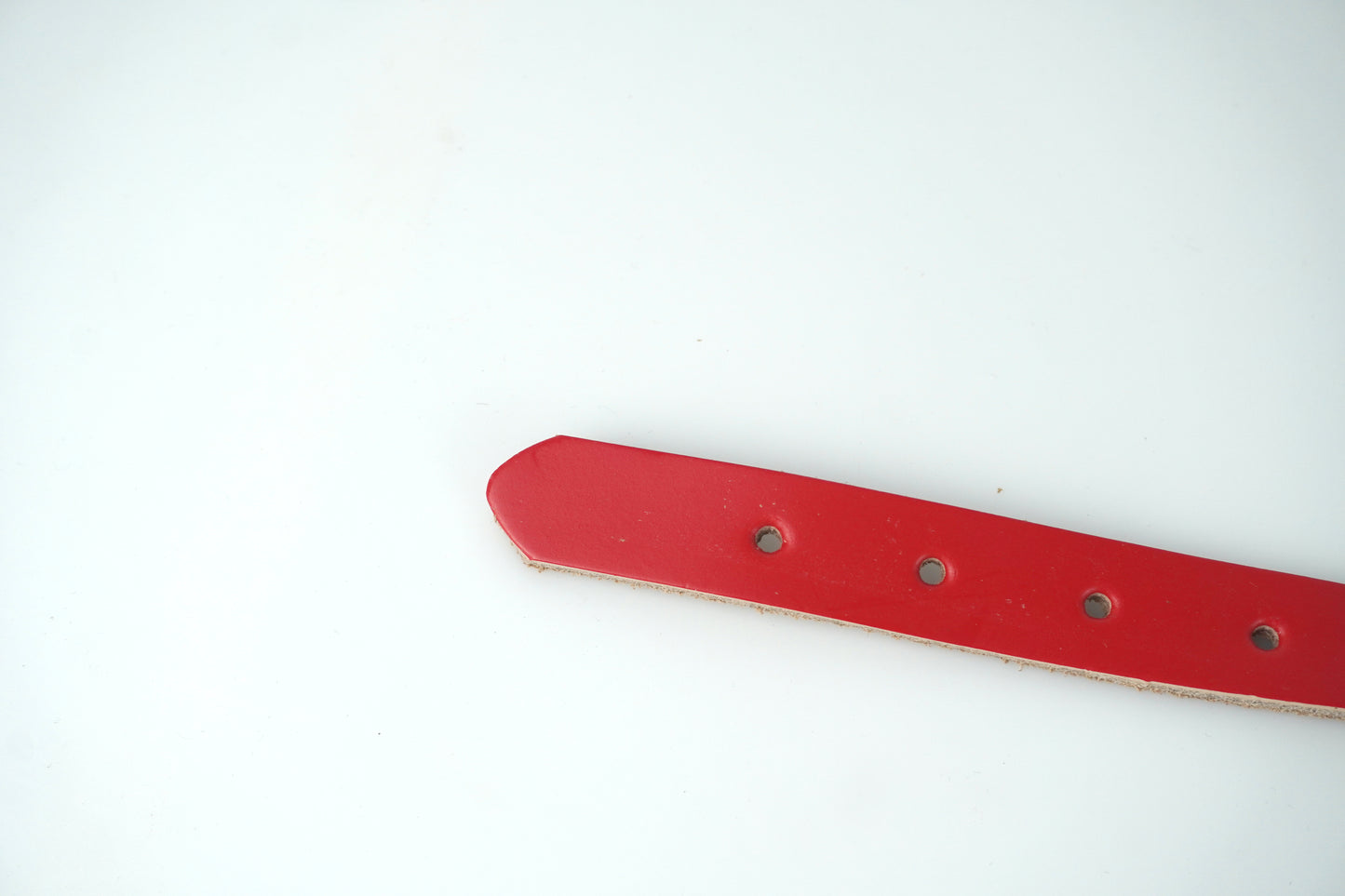 comfortable dog collar