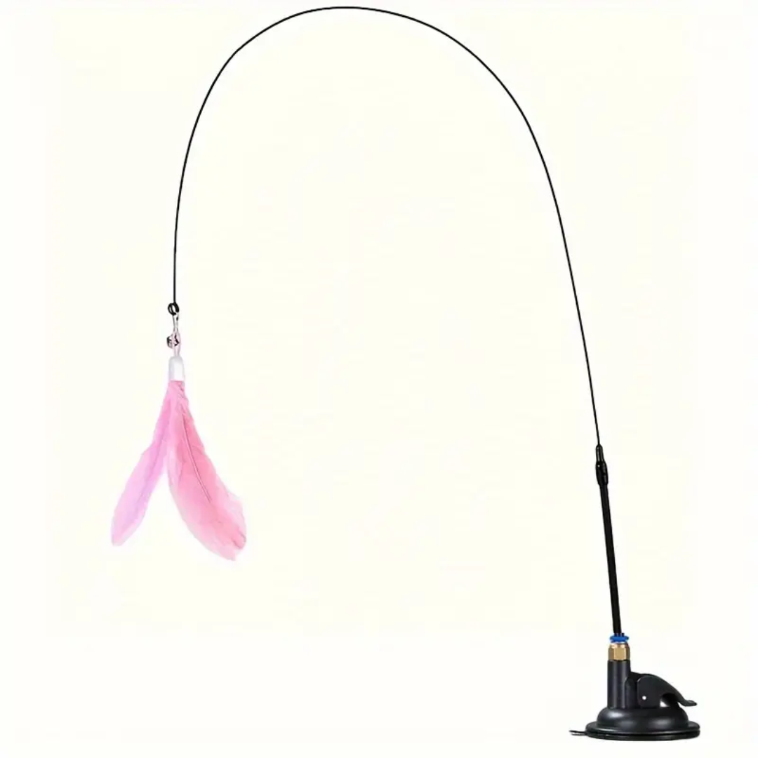 cat toy