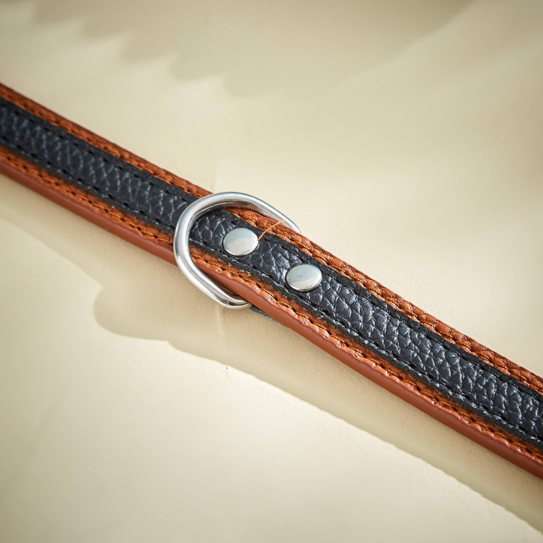 Stylish Leather Collars (Large)