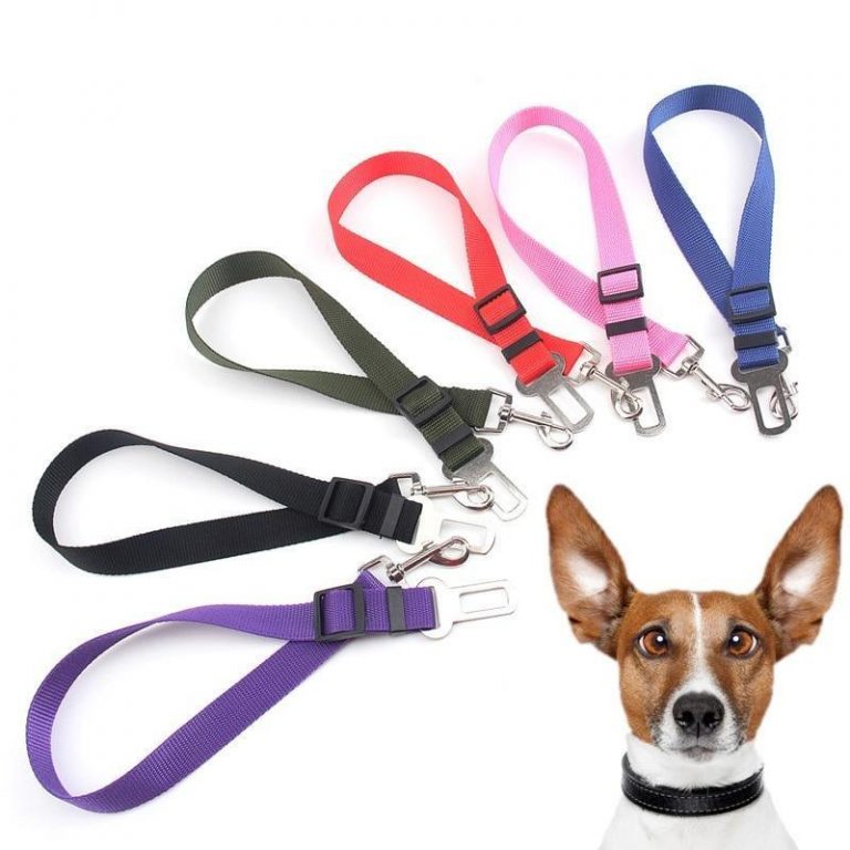 Auto Seat leash