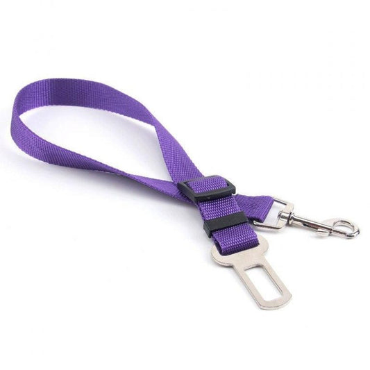 Pet leash