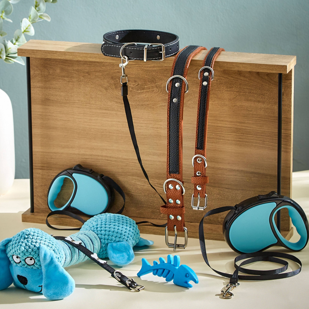 Stylish Leather Collars (Large)