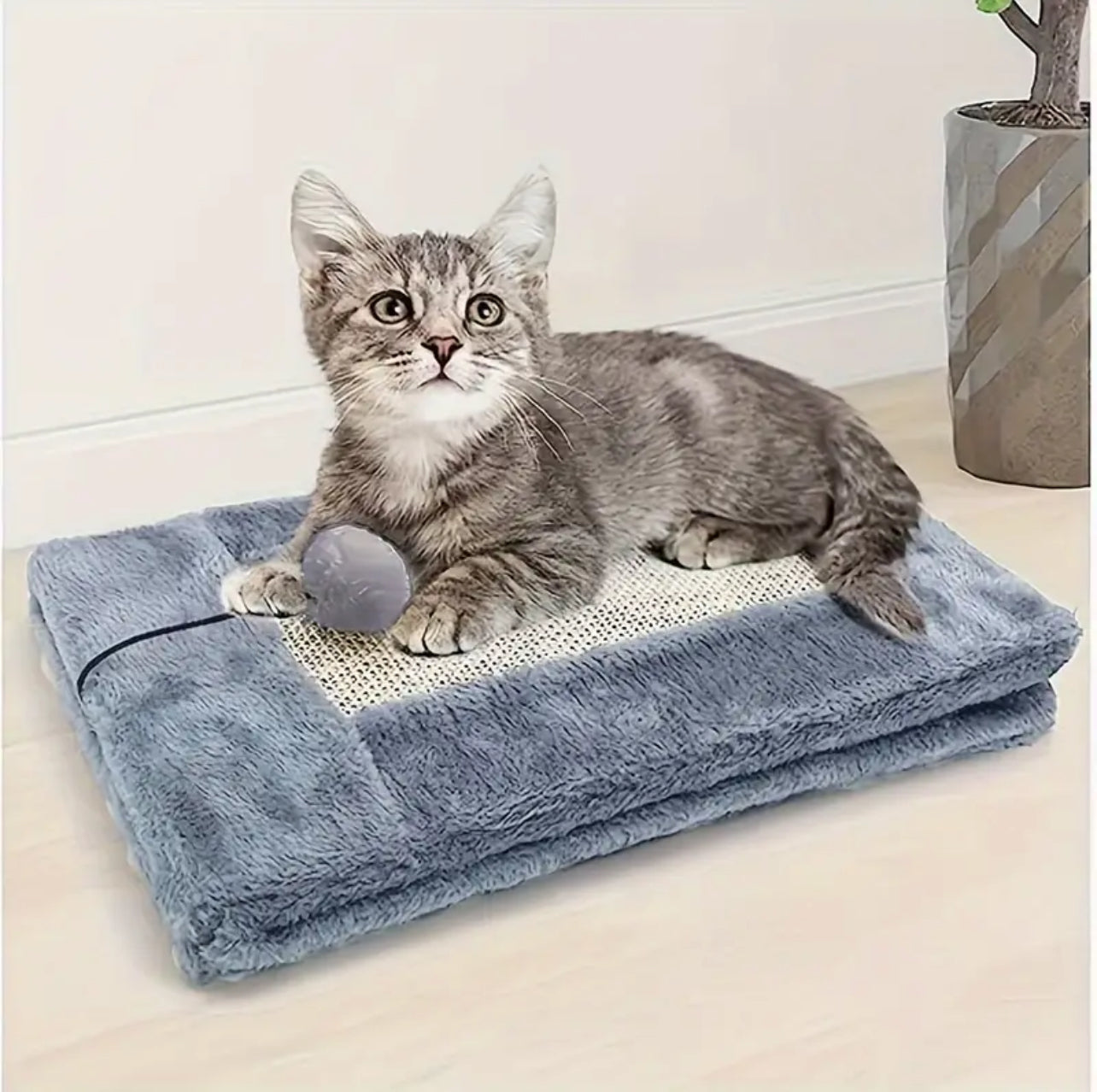 interactive cat toy