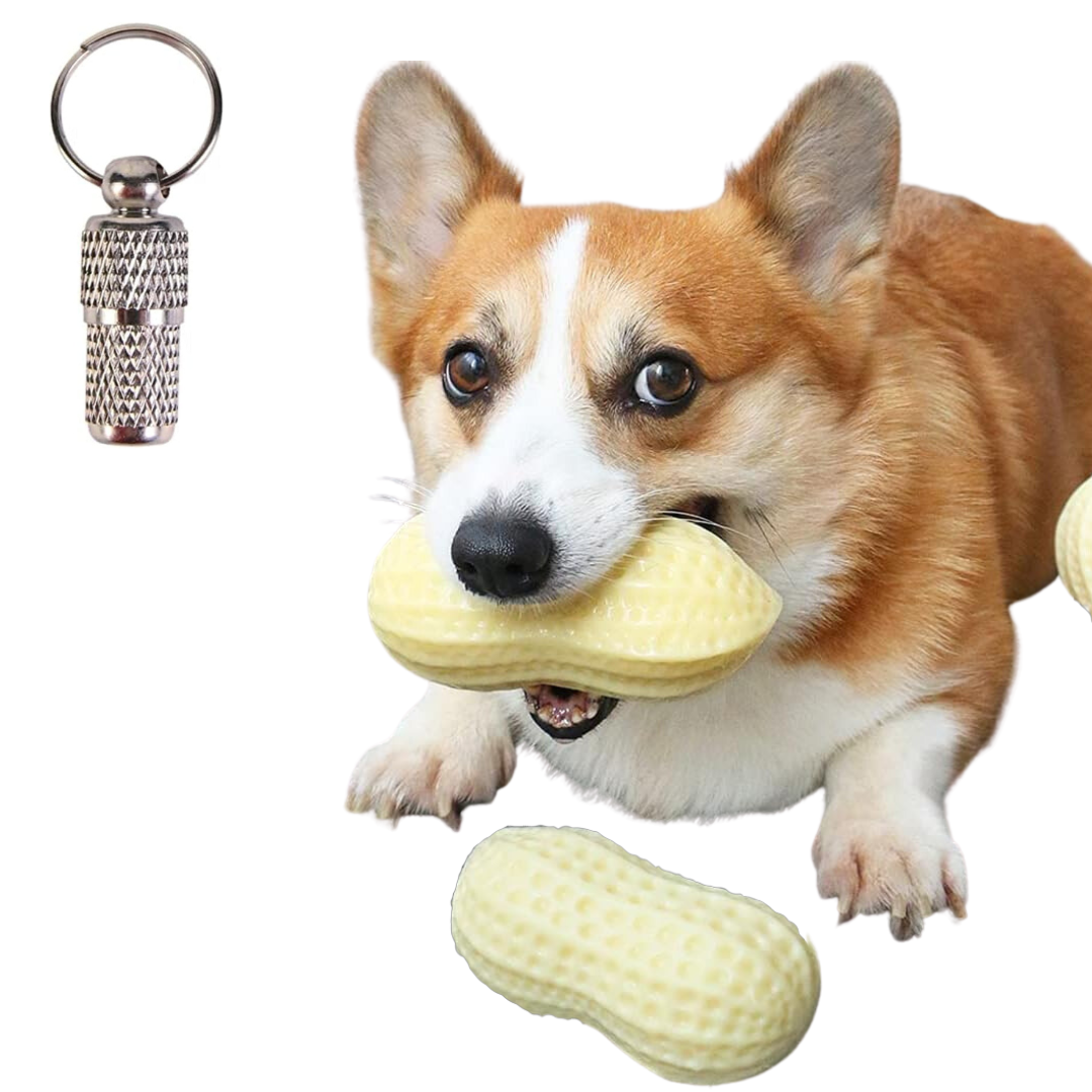 interactive dog