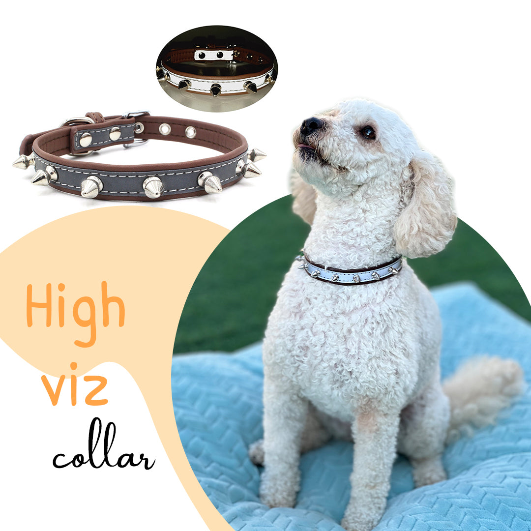 soft dog collar