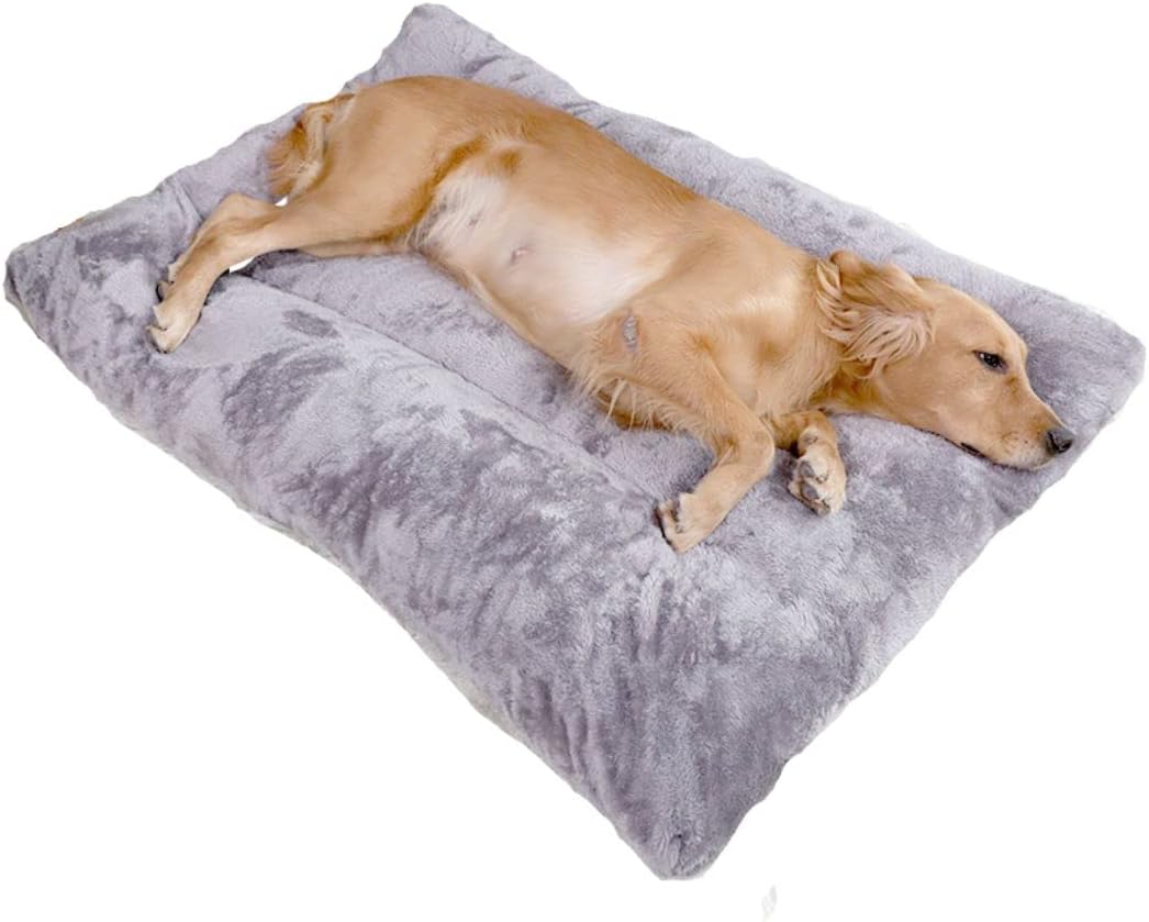 Soft XL Plush Dog Bed