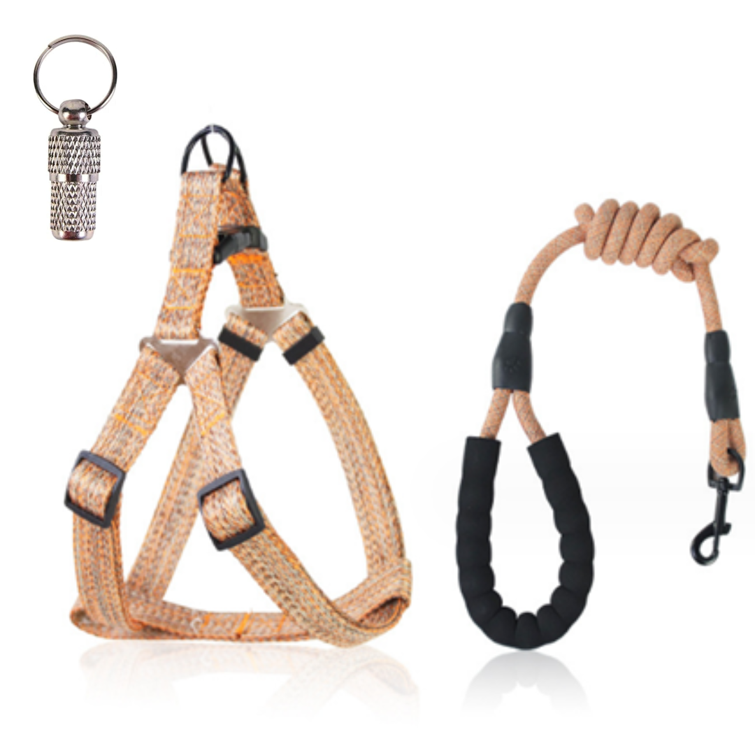 dog harness with leash