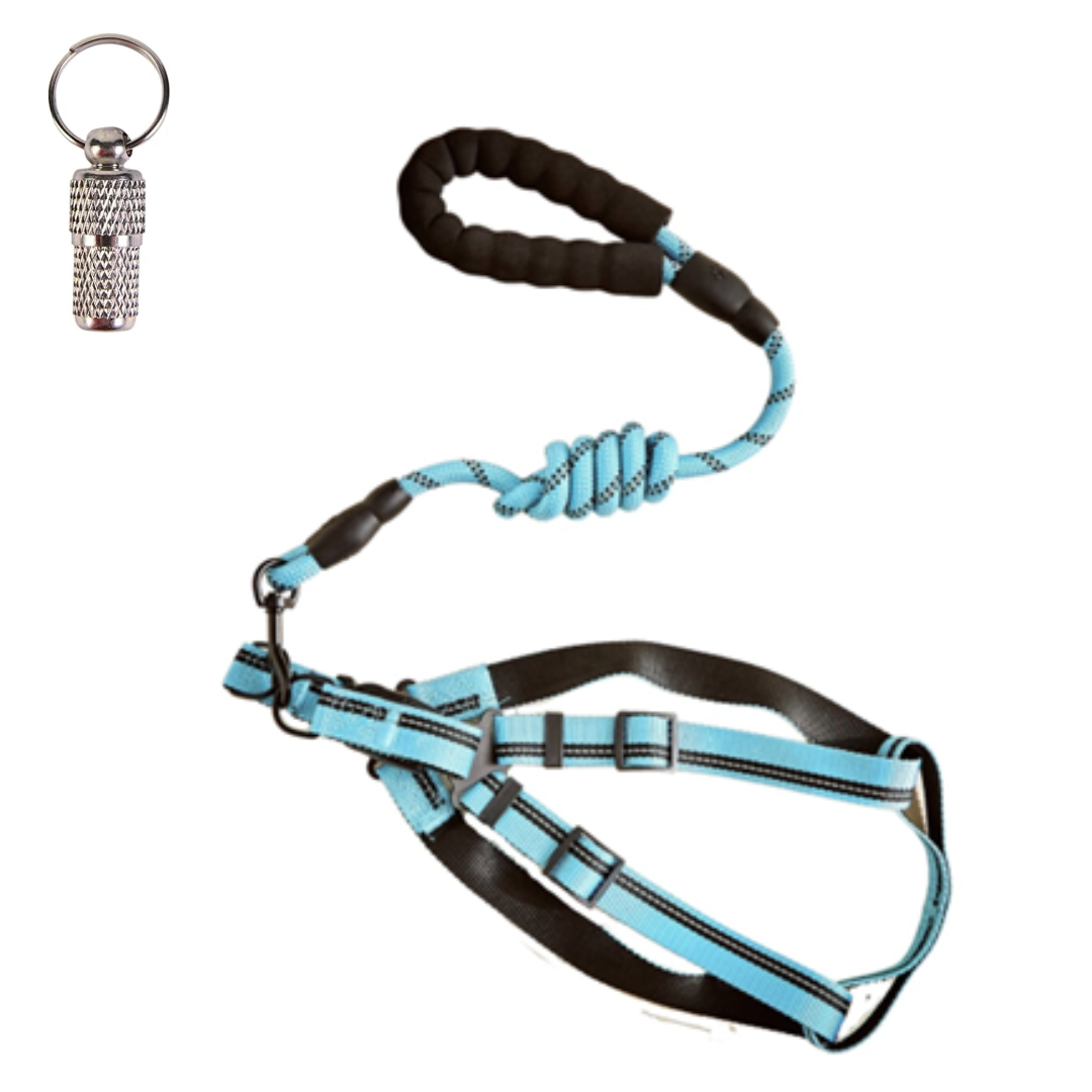 blue dog collar