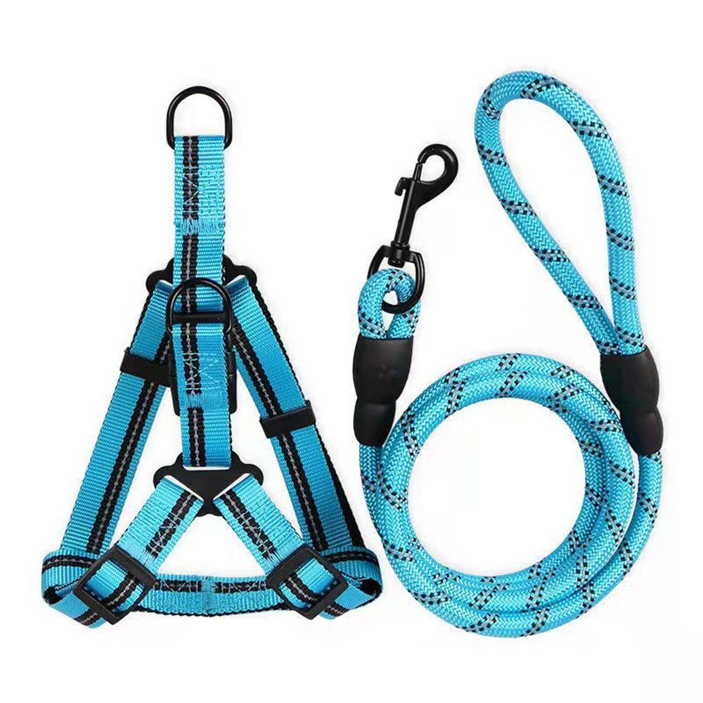 dog collar small