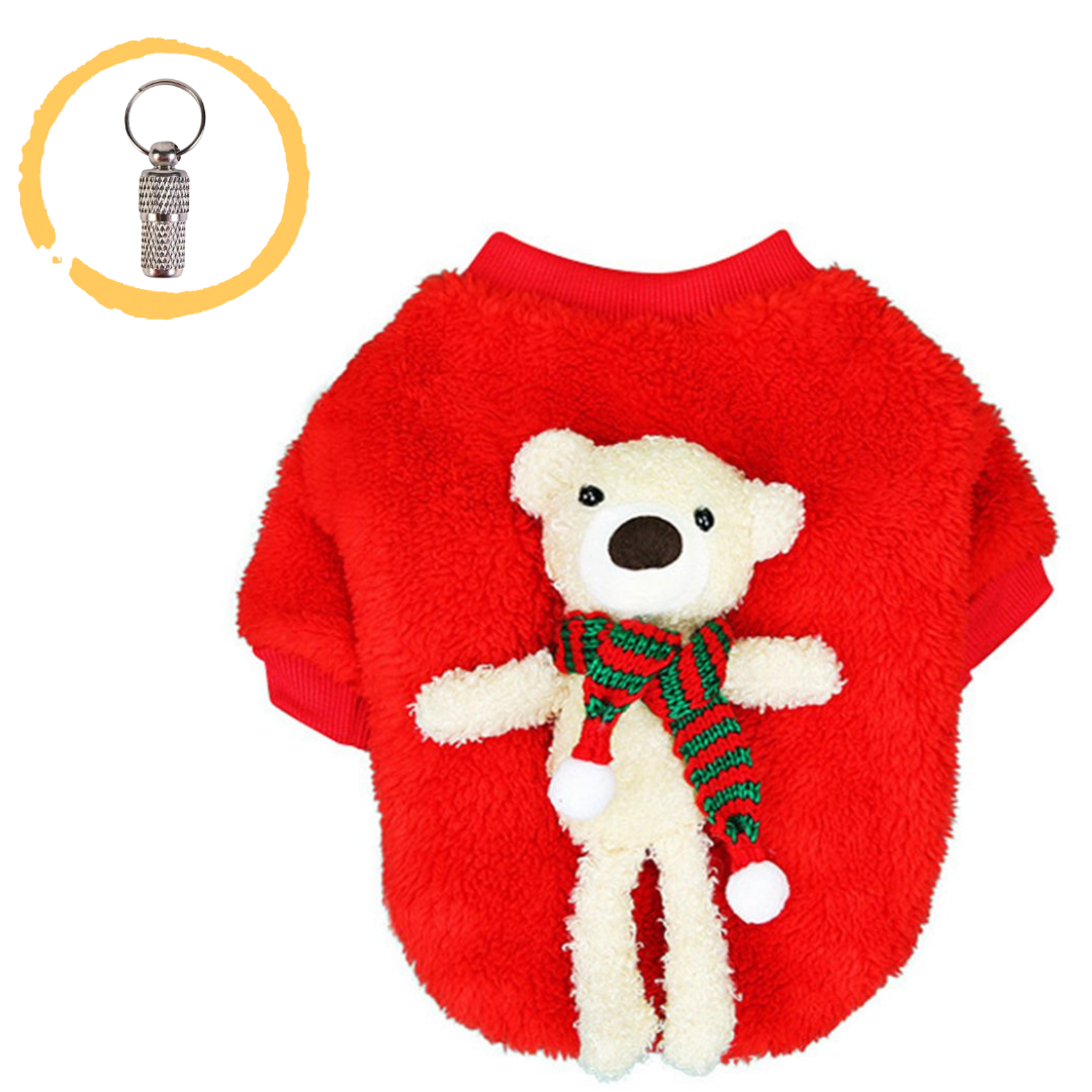 Teddy Bear Pop up sweater