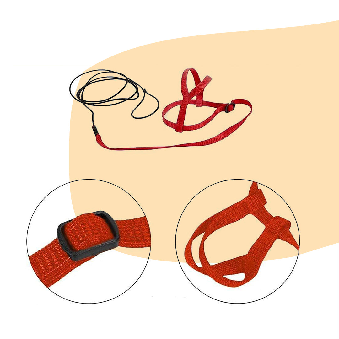 toy set