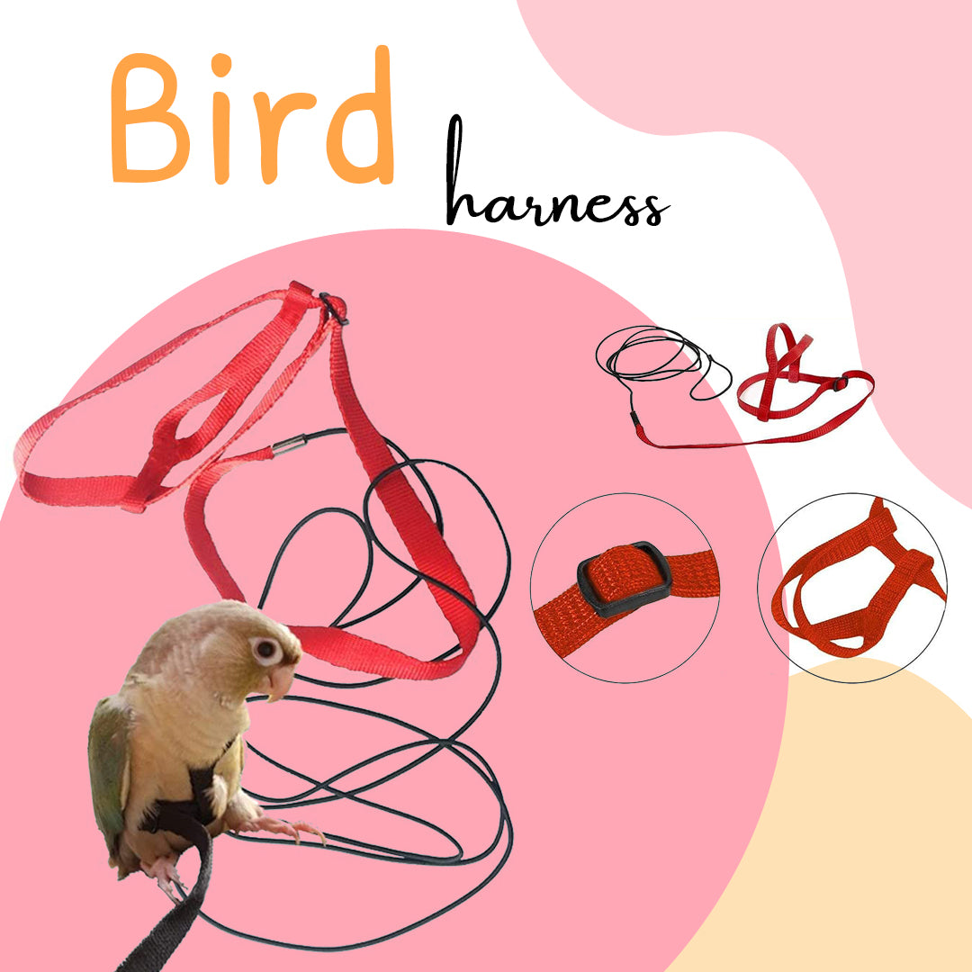 parrot chew toys