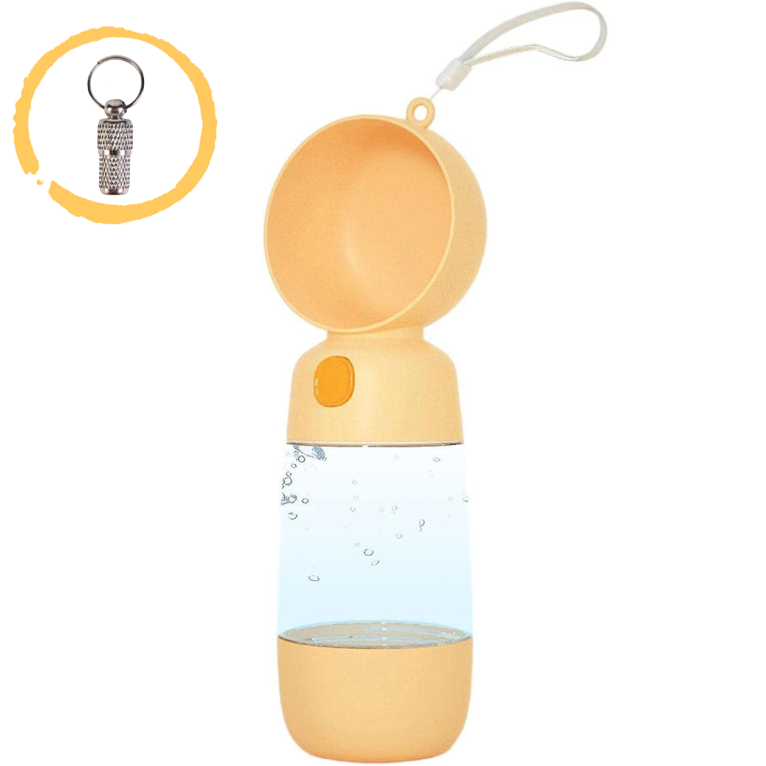 Food and Water bottle