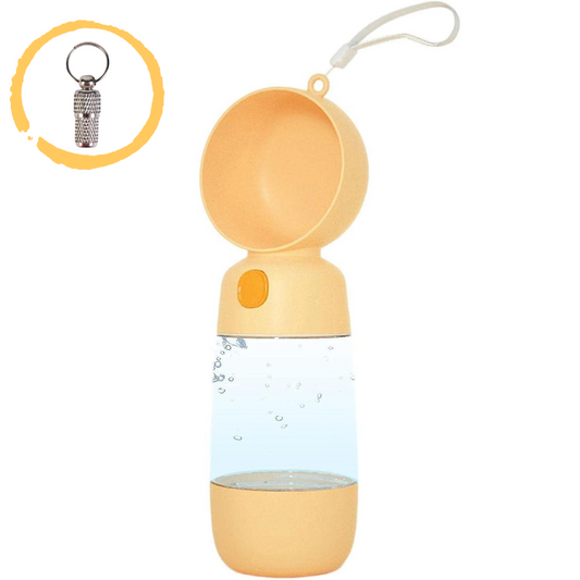 Food and Water bottle