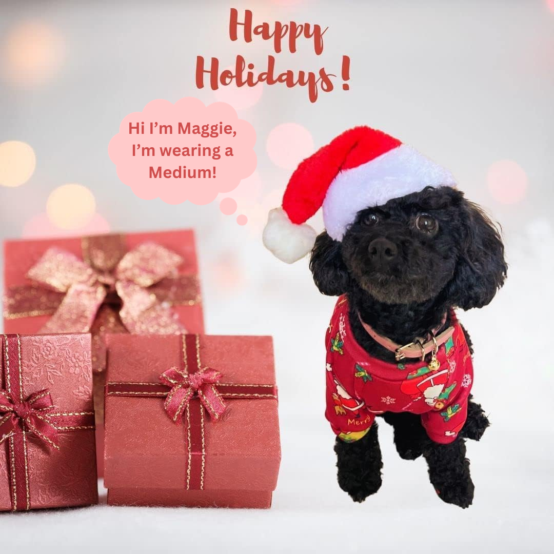 Holiday Snuggle: Christmas Pajama Outfit (Green)