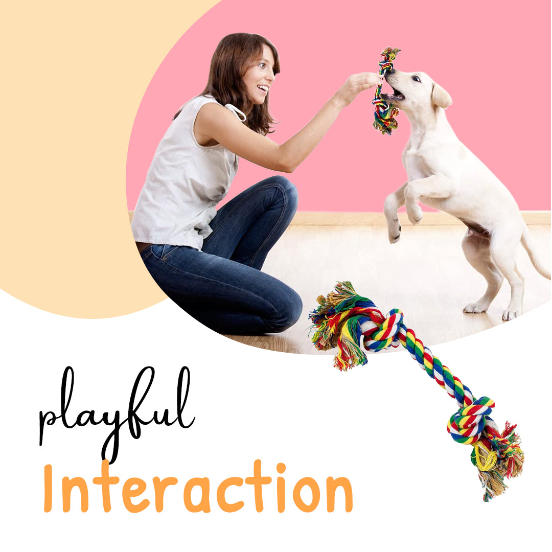 Cotton Dog Toy
