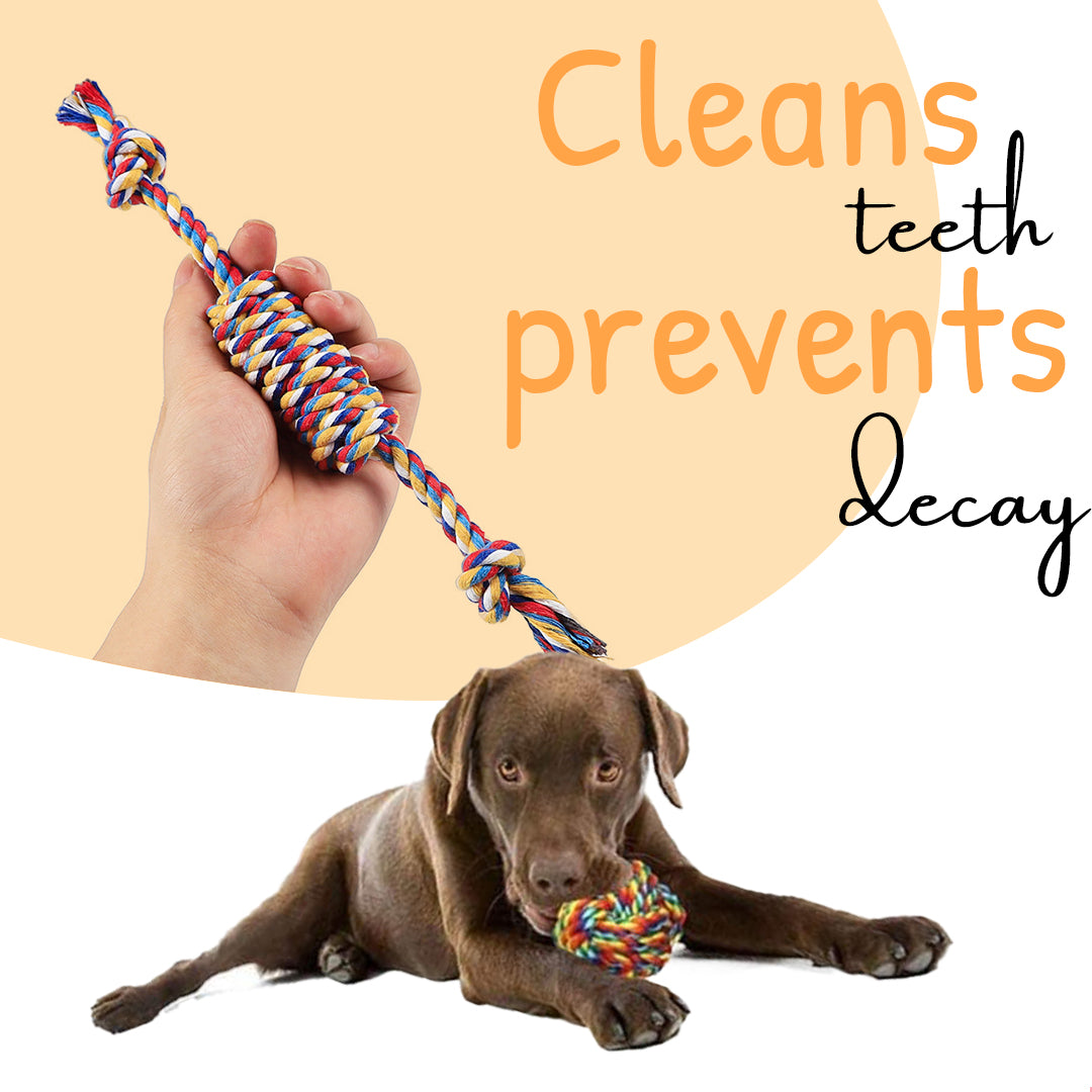 PETSARY 4-Pack: Dental Chew Ropes for Happy Pups!