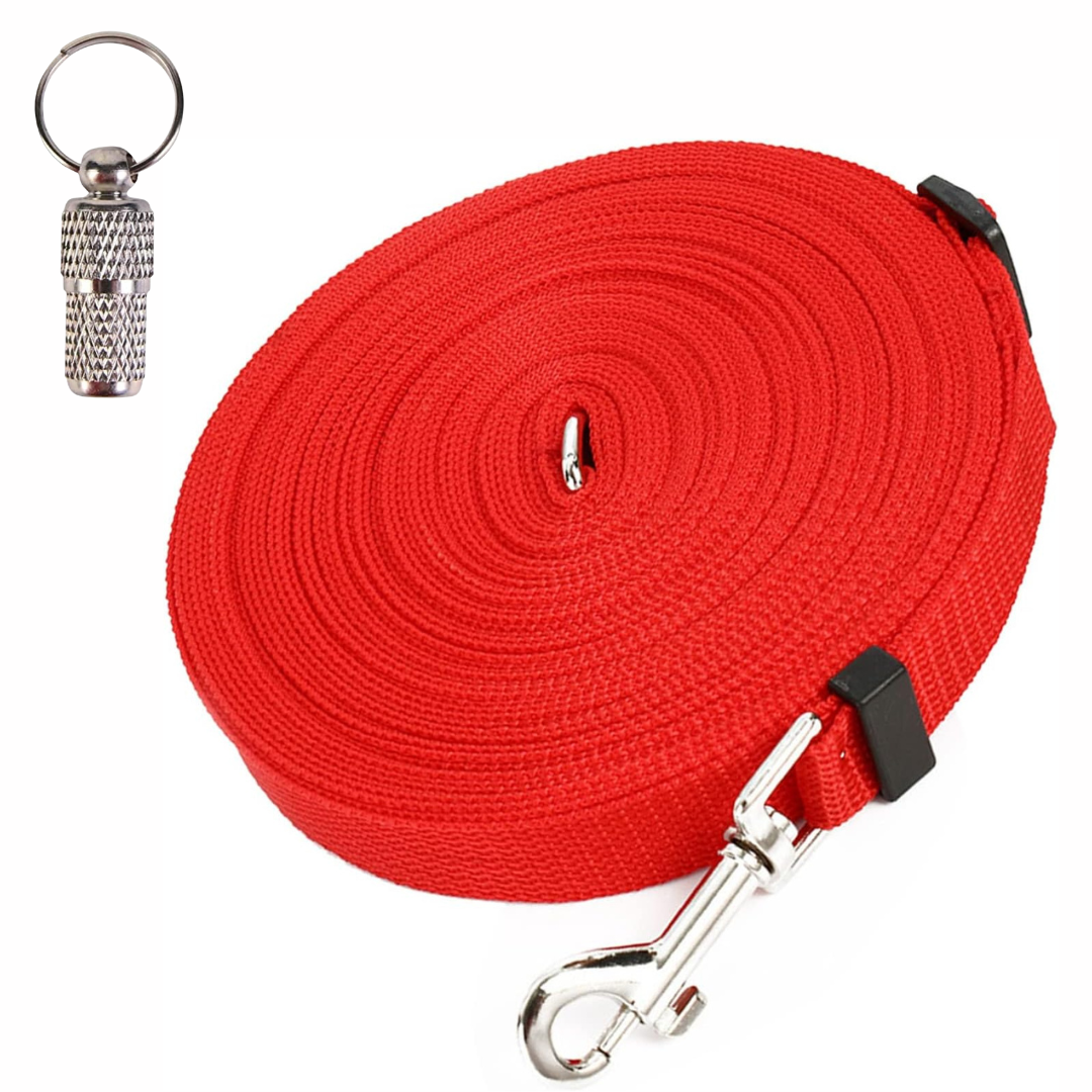 dog leash secure