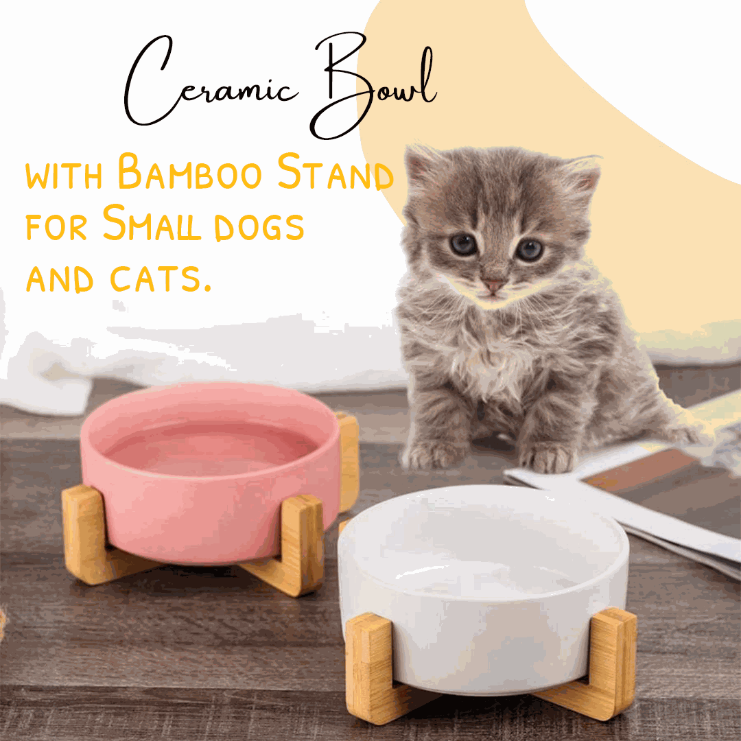 raised cat food bowl