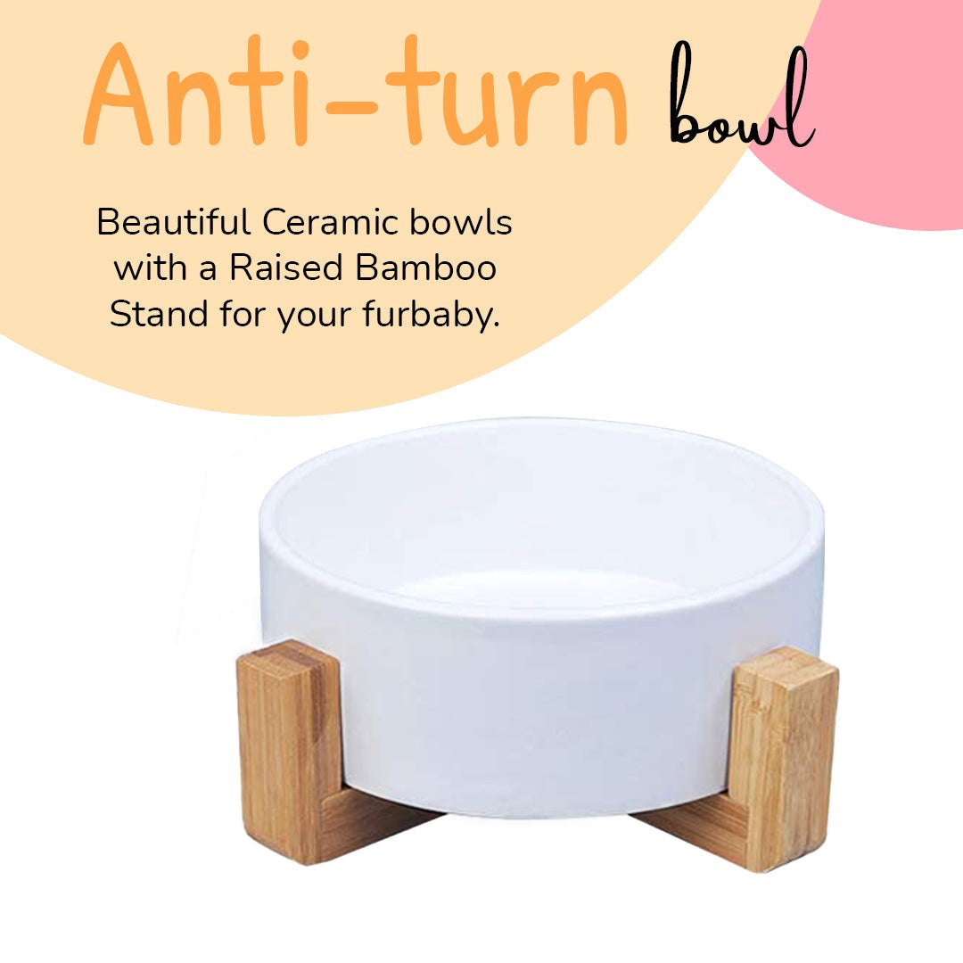 water bowl