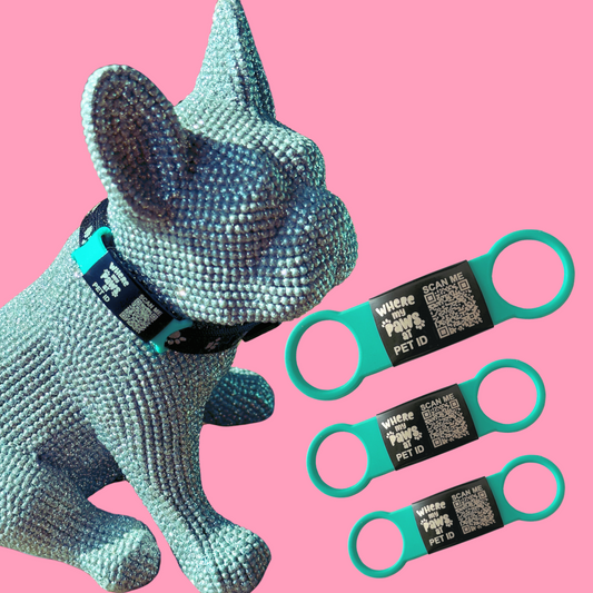 WMPA Slip On Tags! (Blue)