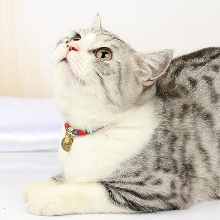 Best Pet Collars