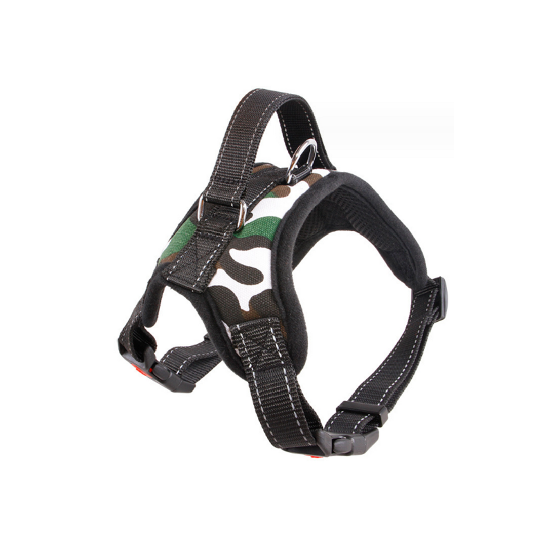 pet harness