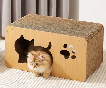 cardboard cat toy