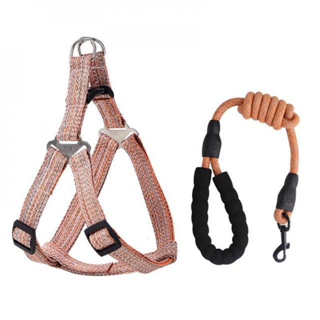 dog harness