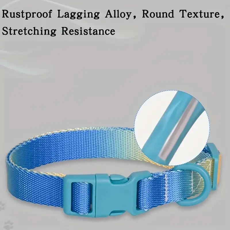 small dog collar