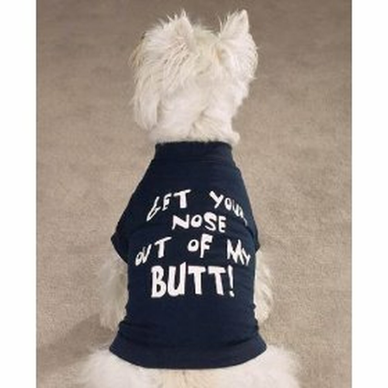 Pet Vest
